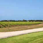 Tenuta Vigna Corallo - Mimosa