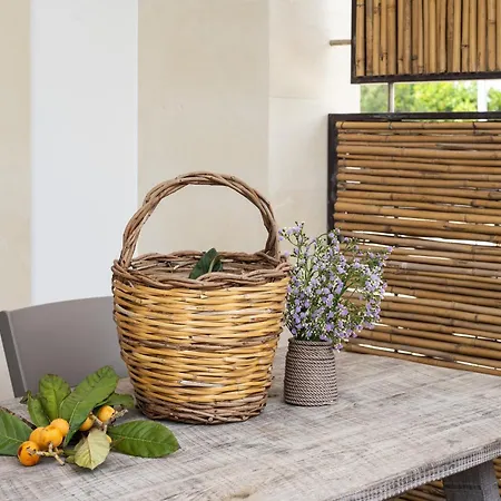 Tenuta Vigna Corallo - Mimosa アパート *