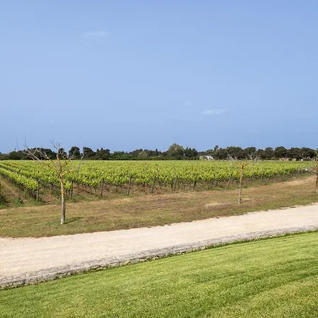 Apartment Tenuta Vigna Corallo - Mimosa