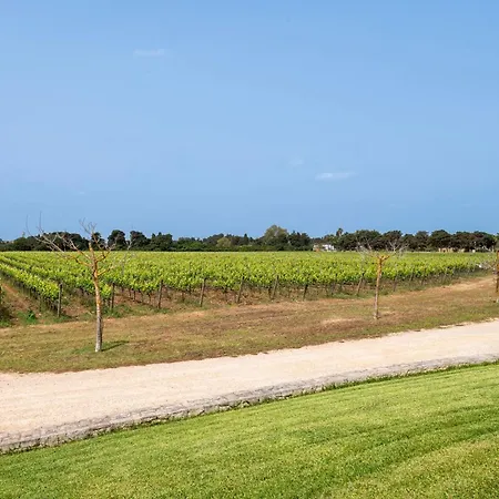Tenuta Vigna Corallo - Mimosa