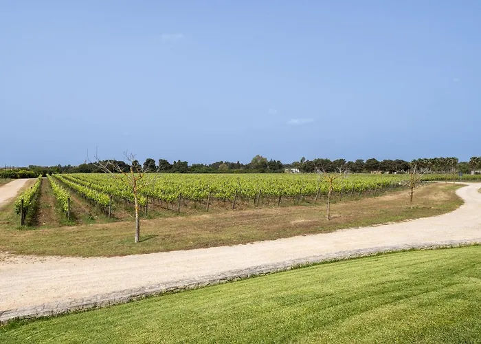 Apartment Tenuta Vigna Corallo - Mimosa